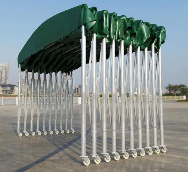 Is the push-pull canopy an illegal building? Analysis of Insiders